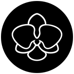 Black Orchid Creative