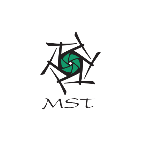 MST Carriers Business Logo
