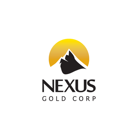 Nexus Gold Business Logo Design